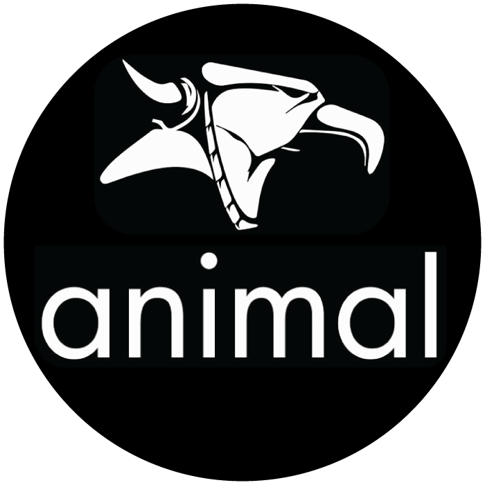 animal