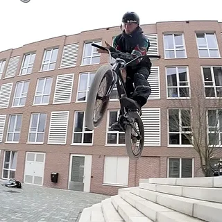 FIGHT OR FLIGHT - TWAN VAN WIJK