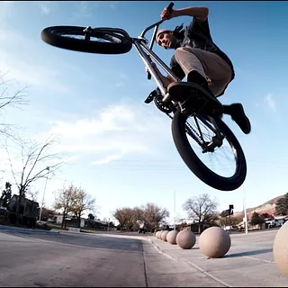BLOOM - JON TINSLEY