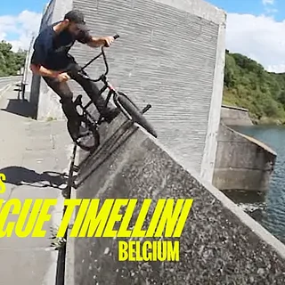 DIG LOCALS - RODRIGUE TIMELLINI