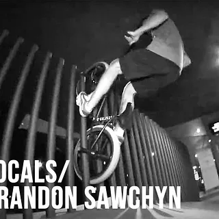 BRANDON SAWCHYN - 2020 VISION - DIG LOCALS