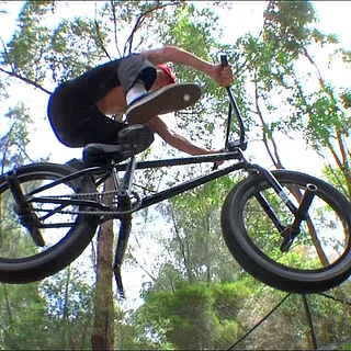 LEWIS MILLS 2017