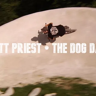 MATT PRIEST - THE DOG DAYS