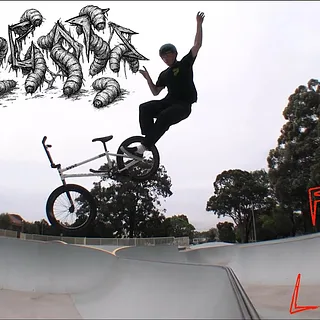 Fast and loose maggots