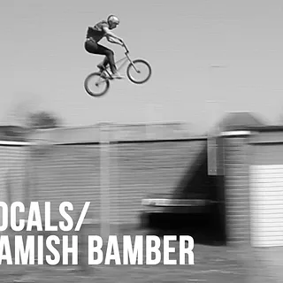DIG LOCALS - HAMISH BAMBER