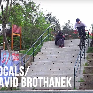 DIG LOCALS - DAVID BROTHANEK