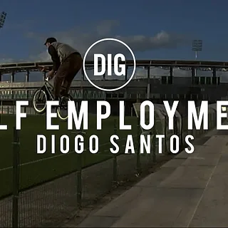 Diogo Santos - Self Employment
