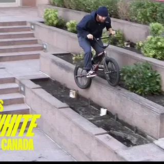 DIG LOCALS - KYLE WHITE