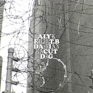 ALYK - DAMIAN RACUT - FED UP WITH THE BULLSHIT