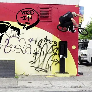ANIMAL BIKES -  WIDDIT