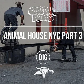 Tenzin, the people of New York and Abdul Fofanah - Animal House Part 3