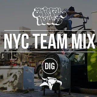 ANIMAL HOUSE NYC - TEAM MIX