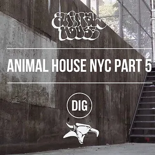 Animal House NYC - Part 5 - Matt Miller, Dan Lacey & More...