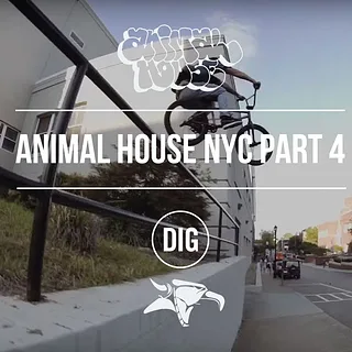 Animal House NYC - Part 4 - Affiliates, AM's and OG's