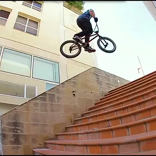 DIG BMX + Animal - Night Rider Edit