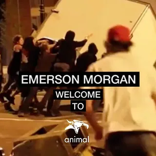 Emerson Morgan - Welcome To Animal Bikes