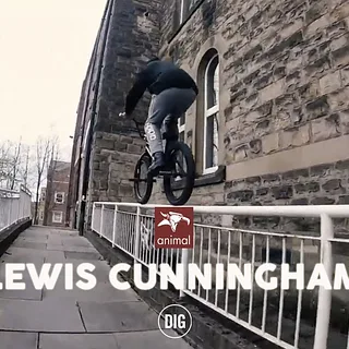 Lewis Cunningham - Animal AM 2017