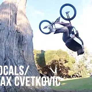 DIG LOCALS - MAX CVETKOVIC