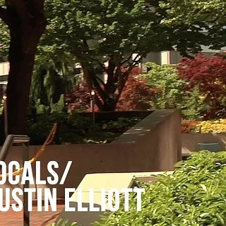 Austin Elliott - Gone to Waste - DIG LOCALS