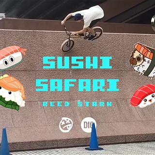 REED STARK - SUSHI SAFARI - DIG X BSD