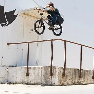 HARRISON ARCARI - ANIMAL BIKES