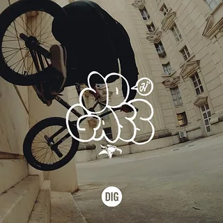 JO GASS - ANIMAL 2019 - DIG BMX