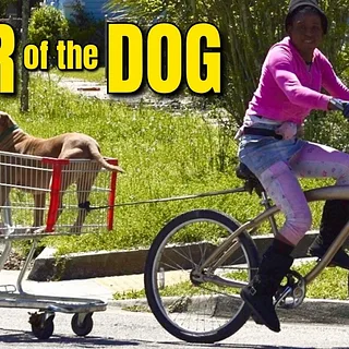 HAIR OF THE DOG | FULL LENGTH BMX VIDEO