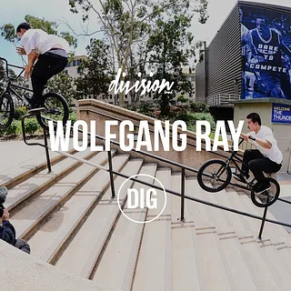 Wolfgang Ray 2017 - Division Brand