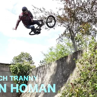 VAN HOMAN  - THE FRENCH TRANSITION TRIP