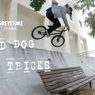 OLD DOG NO TRICKS - ROB DOLECKI -  GREYSTOKE BMX
