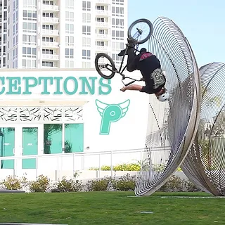 PERCEPTIONS  - PROFILE BMX