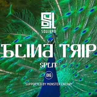 BLIND TRIP - Kalkoff & Beneditti in Croatia - DIG X SOUL
