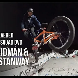 Weird & Revered DVD - Joe Weidman & Mark Stanway
