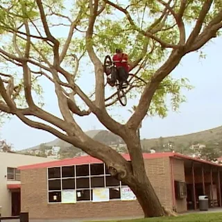 RIDE BMX - INSIGHT - CHESTER BLACKSMITH