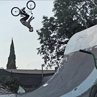 Fox We Live - Drew Bezanson - The Next Thing