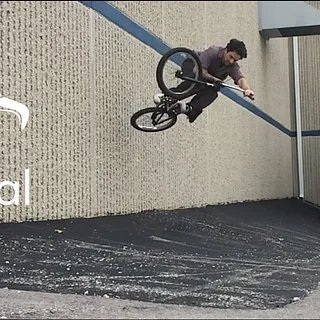 ANIMAL BIKES - STEVEN HAMILTON WINTER '17