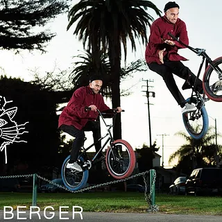 ERIC LICHTENBERGER'S "ALLEY CAT" PRO PART