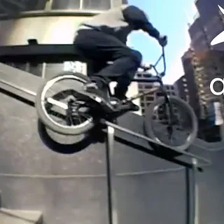 CHRIS SILVA - ANIMAL BMX