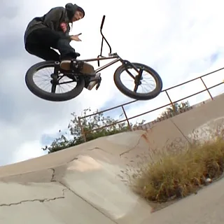 NEVER LEARNING TRICKS - TREVOR ANTILLON
