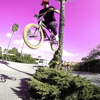 S&M UFO FRAME PROMO