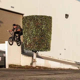 BSD: Reed Stark's California Safari