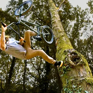 GREG ILLINGWORTH - THE WOODS