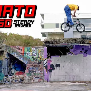 STEADY SAVAGE - RENATO RANCSO - COLONY - STILL HAVING FUN