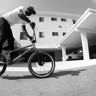 Animal Bikes: Nigel Sylvester 2014