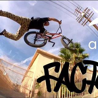 ANIMAL BIKES: FACTS - TEAM MIX/ RYAN HOWARD (BMX)