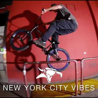 BMX - ANIMAL BIKES - NEW YORK CITY VIBES
