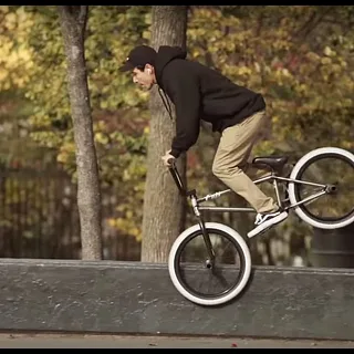 Animal Bikes - Andrew Castaneda - FACTS