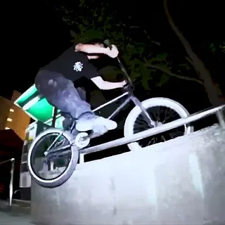 MAKOTO KORENAGA - Animal Bikes (2024)