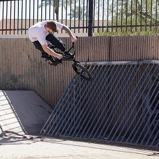 ETHAN GROTHE - For The Birds
