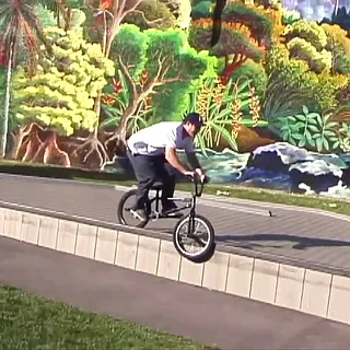 Animal Bikes: QSS 5 "The Price is Wrong" Team Mix 1